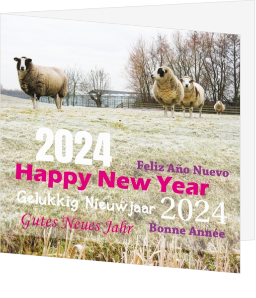 Kaart met schapen gelukkig nieuwjaar