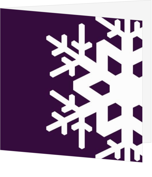 Sneeuwkristal paars