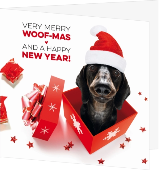 Mix & Match Kerstkaart - Hond in geschenkdoos