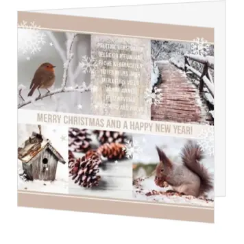 Kerstkaart met winterse natuurfoto’s en sneeuwsterren