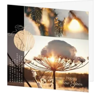 Kerstkaart met winterfoto’s en Happy New Year