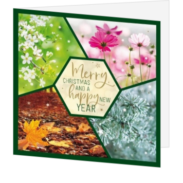 Kerstkaart met natuurbeelden en nieuwjaarsgroet