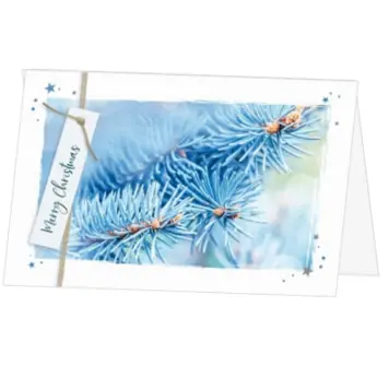 kerstkaart met blauwe dennentakken en label