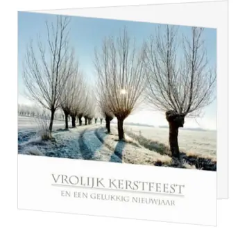 Kerstkaart met besneeuwd pad door een weiland