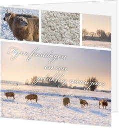 Kerstkaart schapen winterlandschap