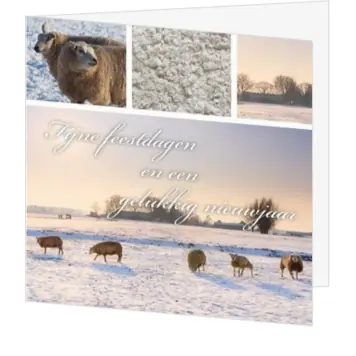 Kerstkaart met Nederlands winterlandschap en schapen