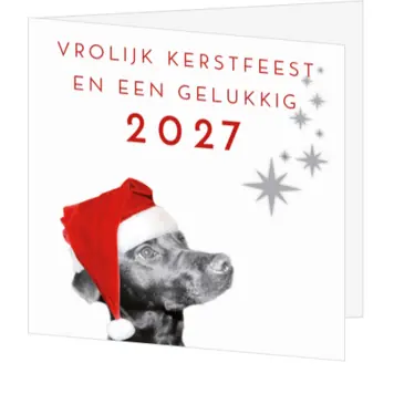 kerstkaart met hond, kerstmuts en jaartal 2027