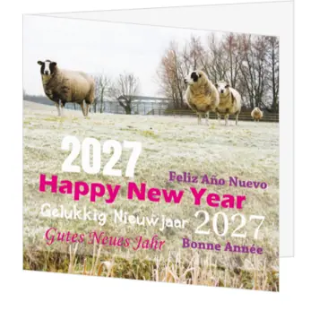Kerstkaart met schapen in winterweide en 2027