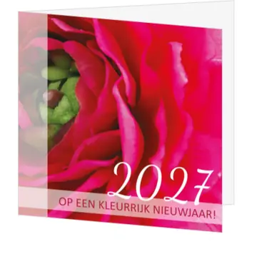 kerstkaart met bloem in roze en paars voor 2027