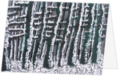 Kerstkaarten met sneeuwkristallen - kerstkaart KGD006