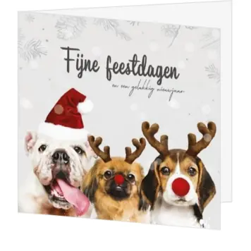 Kerstkaart met drie hondjes en feestelijke winterlook