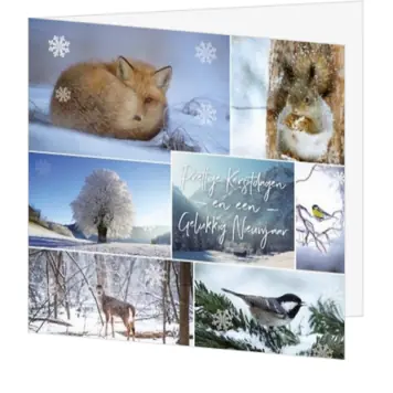 Kerstkaart met winterse natuurtaferelen