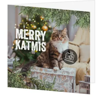 kerstkaart met kat en eigen foto
