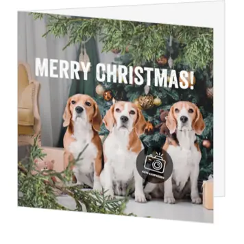 kerstkaart met foto en honden bij de kerstboom