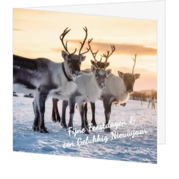 Kerstkaart met rendieren in besneeuwd winterlandschap
