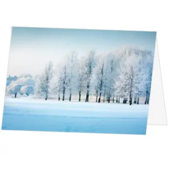 Kerstkaart met blauw winters natuurlandschap