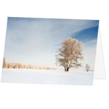 kerstkaart met winters landschap en grote boom