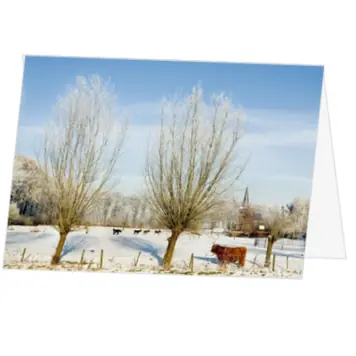 kerstkaart met Hollands winterlandschap