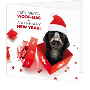kerstkaart met hond in cadeaudoos en kerstmuts