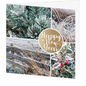 kerstkaart met sfeervolle winterse natuurfoto’s