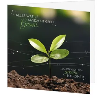 Kerstkaart met groene spruit en sfeervolle tekst
