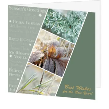 kerstkaart met winterse natuurfoto’s en internationale feestwensen