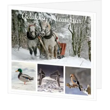kerstkaart met winters Nederland en dieren