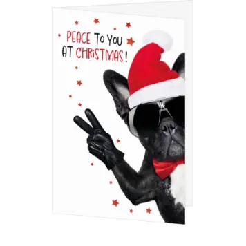 kerstkaart met hond, zonnebril en kerstmuts