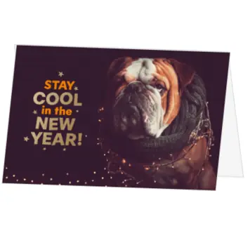 kerstkaart met bulldog en kerstverlichting