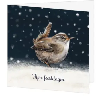 kerstkaart met winterkoninkje in de sneeuw