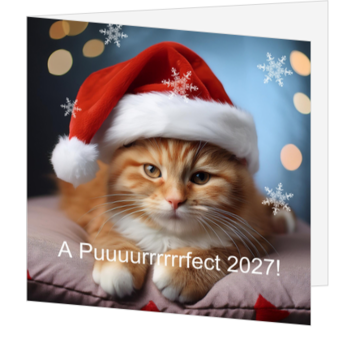 Grappige kerstkaart met rode kerstkater