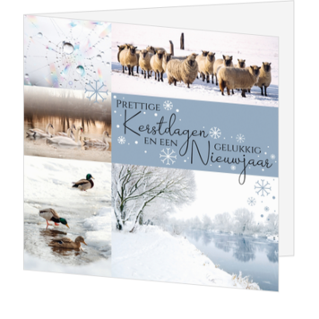 Kerstkaart met winterse natuurfoto's