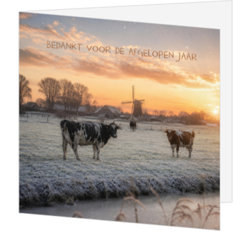 Kerstkaart met winterlandschap, koeien en molen