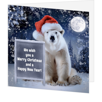 Grappige kerstkaart met poolbeer en kerstmuts