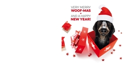 Mix & Match Kerstkaart - Hond in geschenkdoos